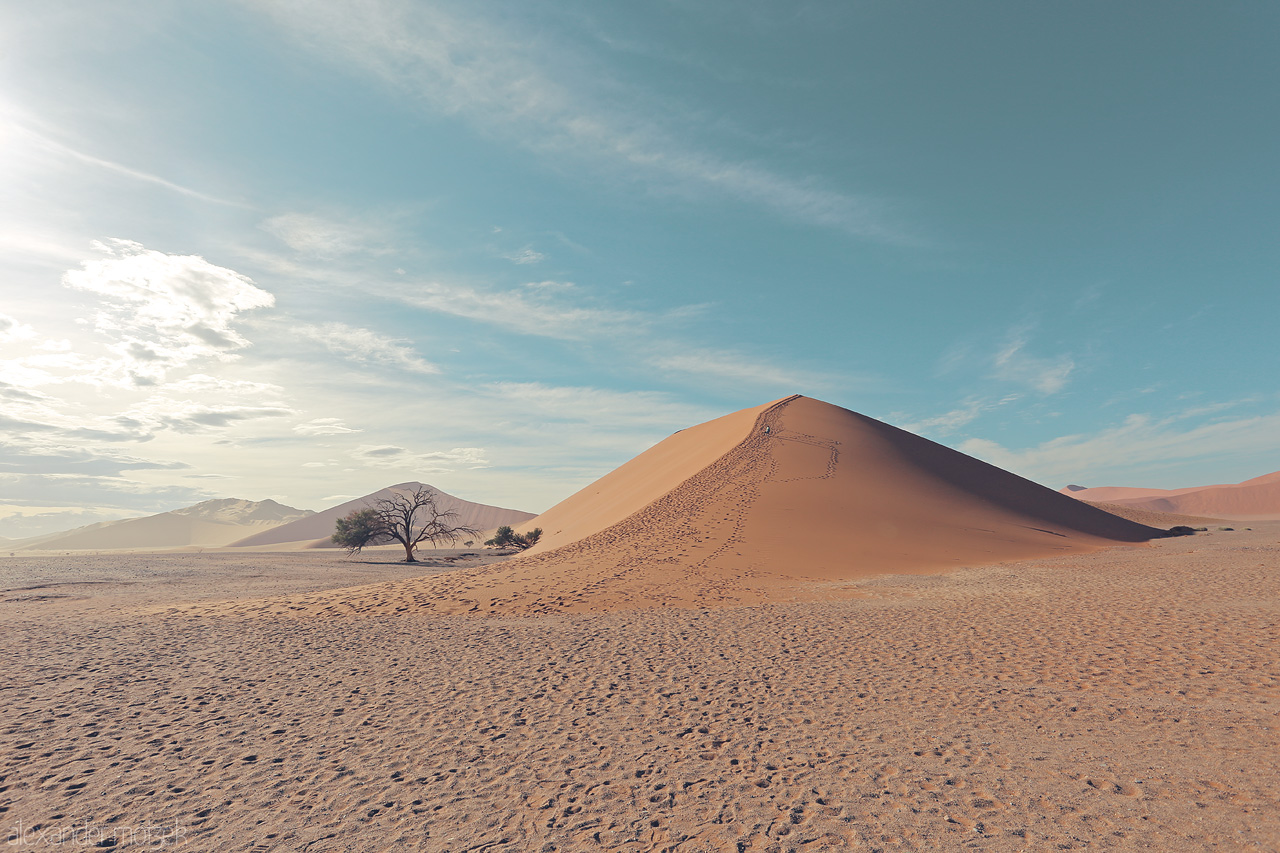 Ants on Dunes Foto von The serene sweep of a sand dune cast under the wide Namibian sky, footprints charting an ephemeral journey.