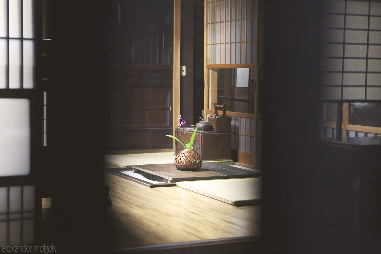 Magome Foto von Orchidee in einem Ryokan in Magome