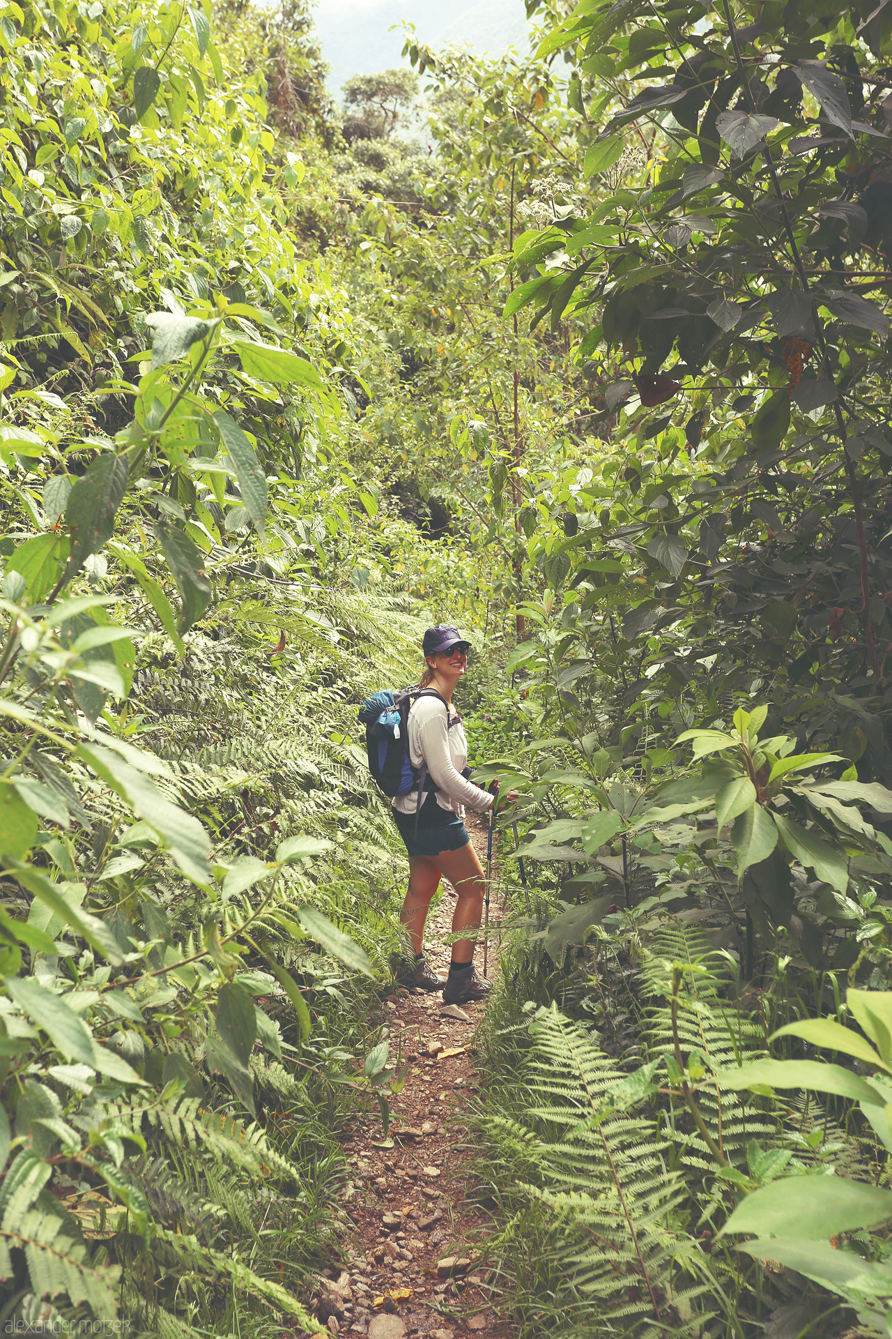 Foto von Wanderung durch den Regenwald Perus über den Salkantay Trek auf dem Weg nach Machu Picchu