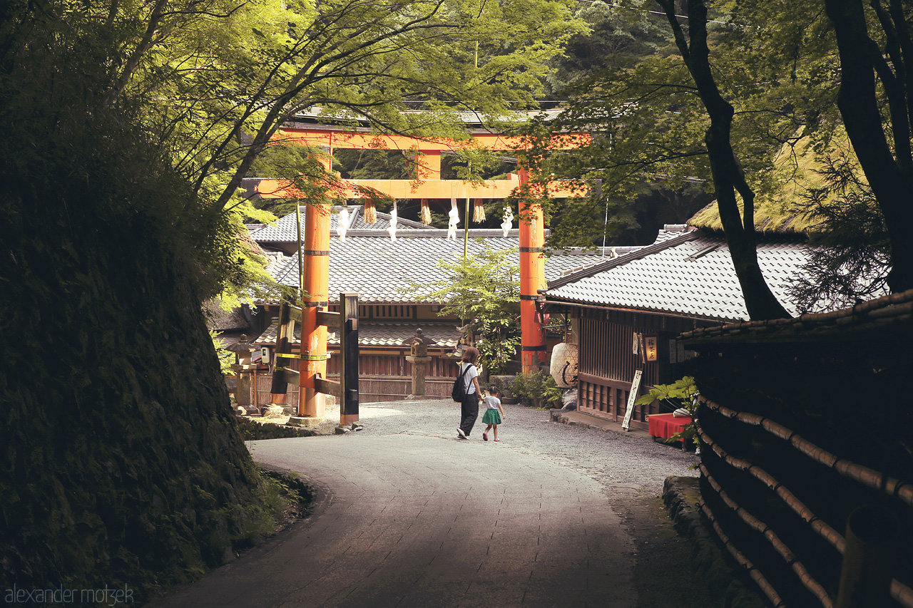 Hiranoya Foto von Riesiges orangenes Eingangs-Torii zu Hiranoya