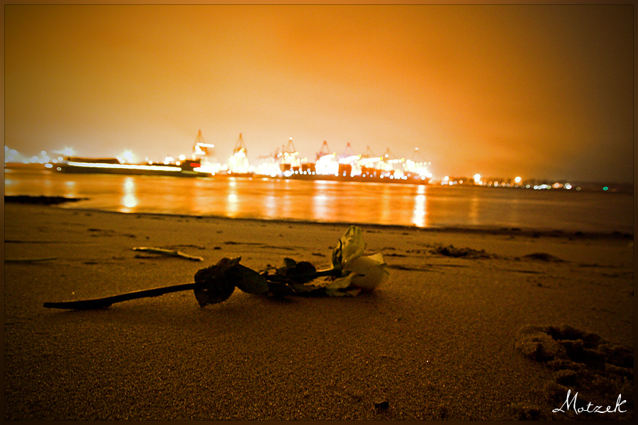 Foto von Rose Gelb Industrie Hafen