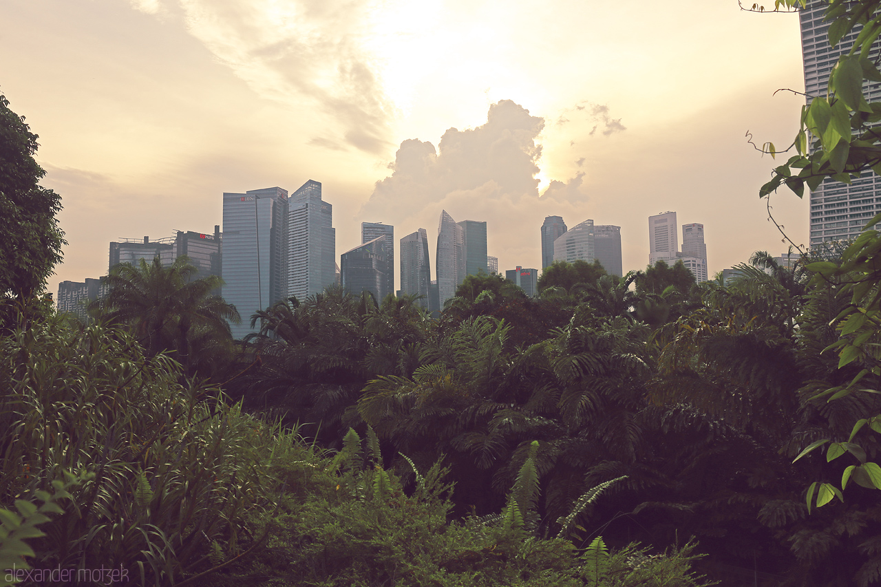 Lion City's Skyline Symphony Foto von A blend of lush greenery and towering skyscrapers at sunset in Singapore, capturing the city's unique harmony between nature and development.