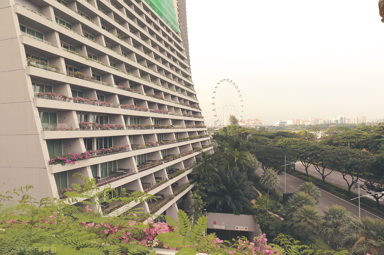 Vertical Garden of Serenity Foto von A lush, flower-draped high-rise and the iconic Singapore Flyer encapsulate the greenery and urban twist of Singapore's cityscape.