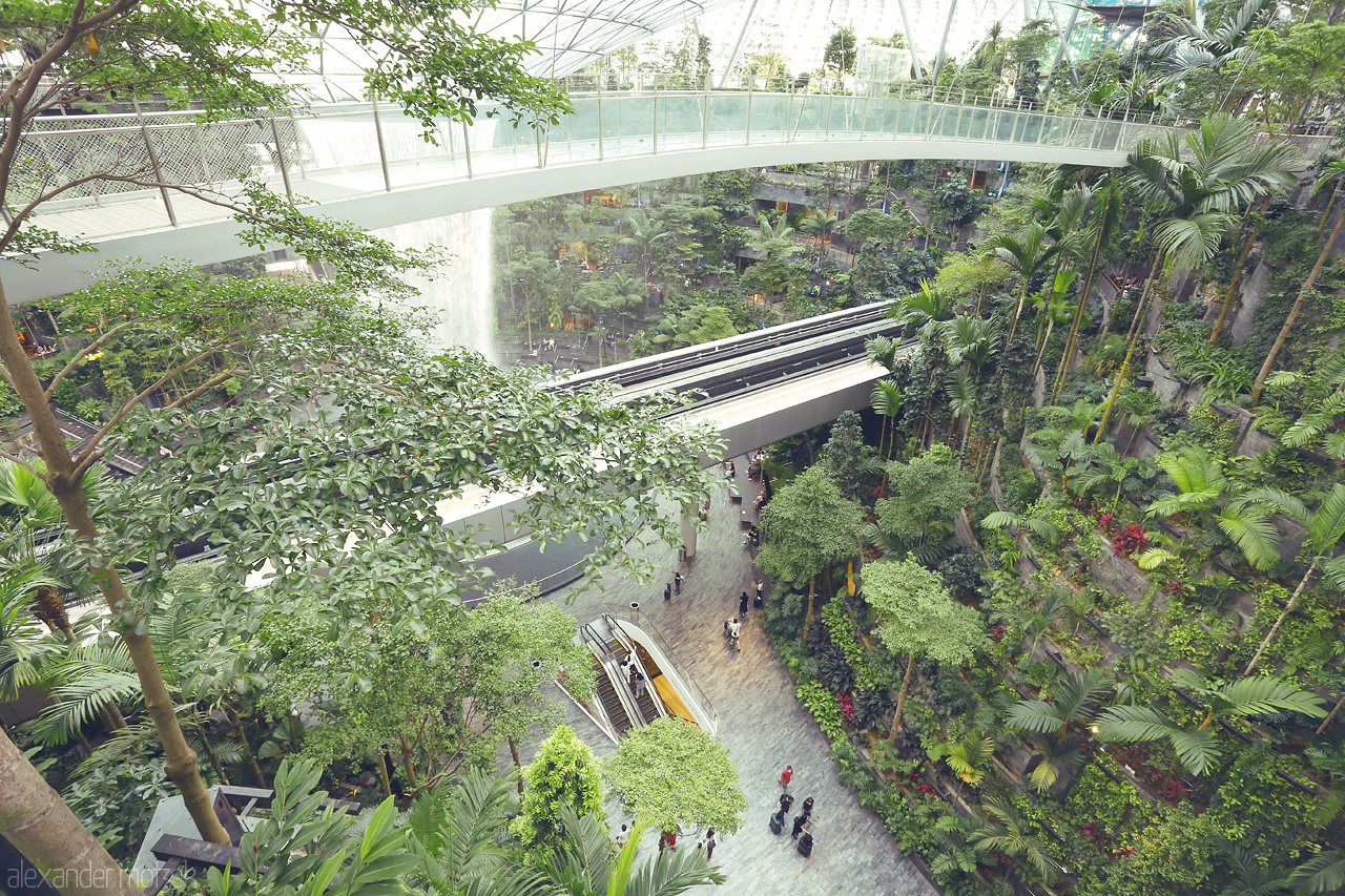 Jewel's Canopy Symphony Foto von Discover Changi's lush canopy and cascading waterfall, where nature meets modern transit in a spectacular fusion of calm and innovation.