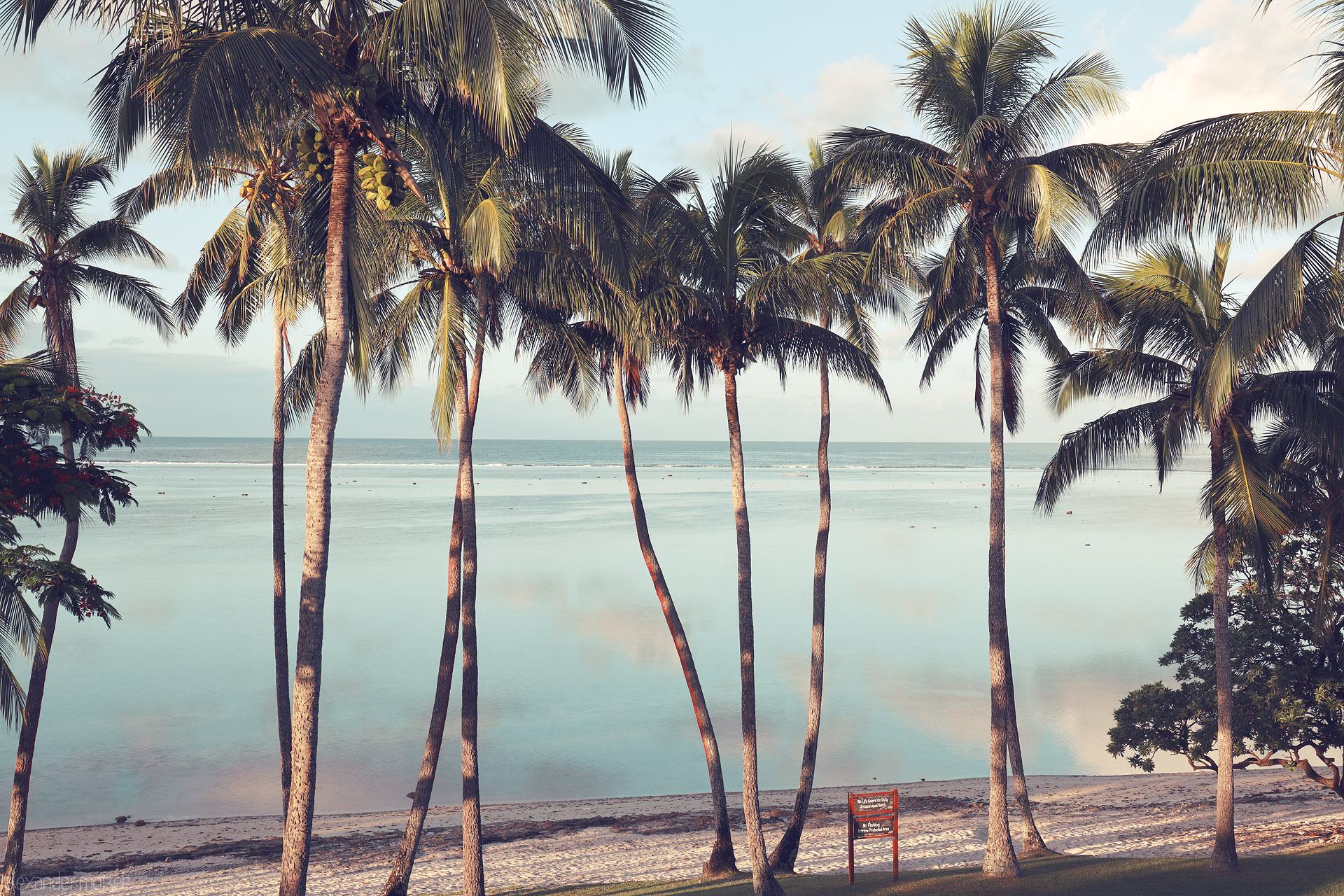 Foto von Tall palms frame a calm lagoon and pale sand at golden hour on Yanuca Island, Fiji.
