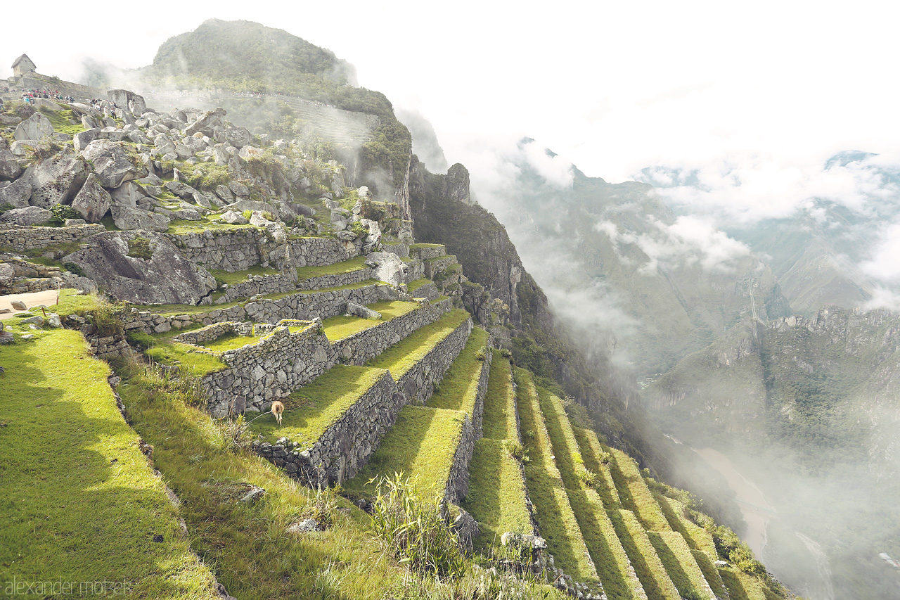 Machu Picchu Foto von Treppen der Maya auf Machu Picchu in den Wolken