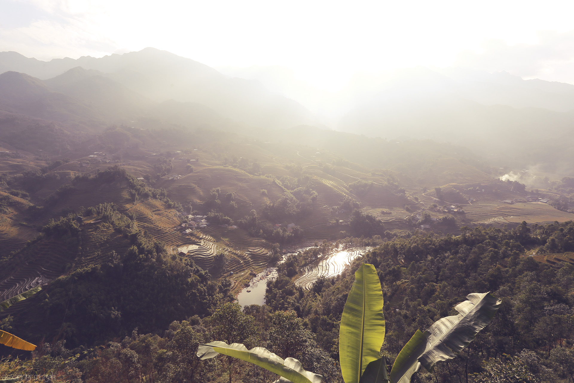 Ban Lang Serenade Foto von Golden light seeps through Sapa's terraced rice fields, mist curling above Muong Hoa valley's lush hills and morning palms.