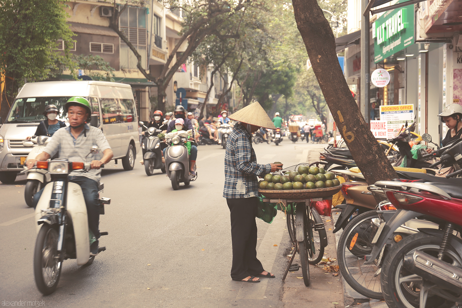 Avocado Alley Foto von Street vendor with conical hat and bicycle of avocados amid the lively, scooter-filled Phuong Hàng Bac, Hanoi.
