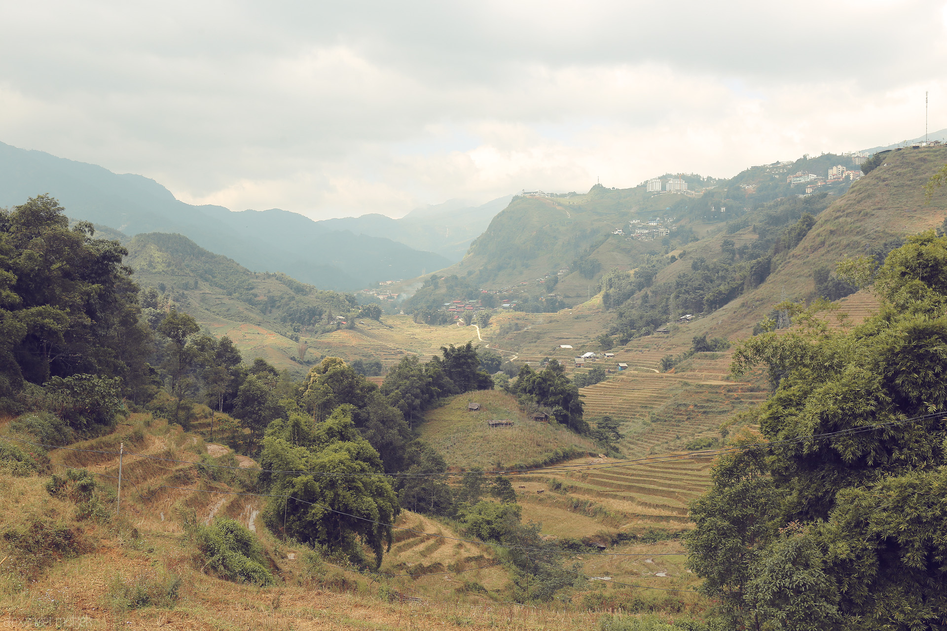 Sapa Mists & Ruong Bac Thang Foto von Terraced rice fields cascade beneath misty mountains in Sapa, Vietnam, blending lush greens with highland serenity and distant hillside towns.