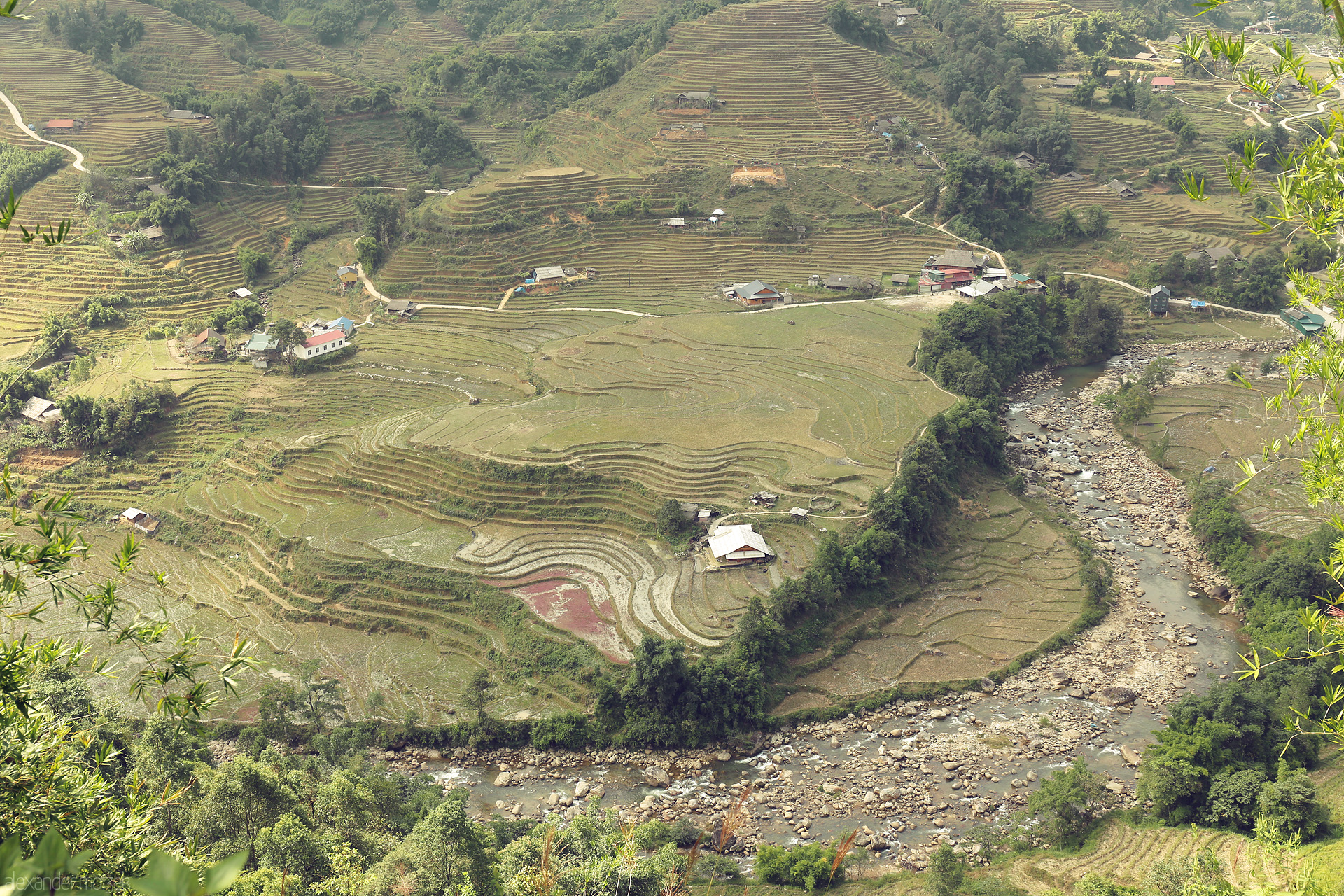 Sapa's Staircase Symphony Foto von Verdant rice terraces, winding river, and scattered homes dot Sapa’s Muong Hoa Valley in a serene embrace of Vietnam’s northern highlands.