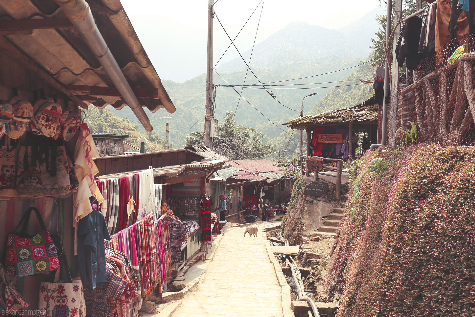 Threads & Peaks Foto von Warm sunlight falls on Sapa’s market alley, bursting with H’mong textiles, mountain air, and quiet village charm.